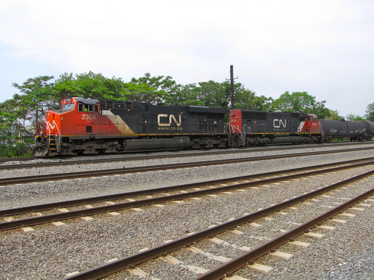 CN 2308 and 5629